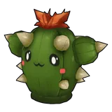 Cacto