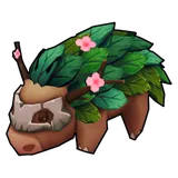 Hedgenox